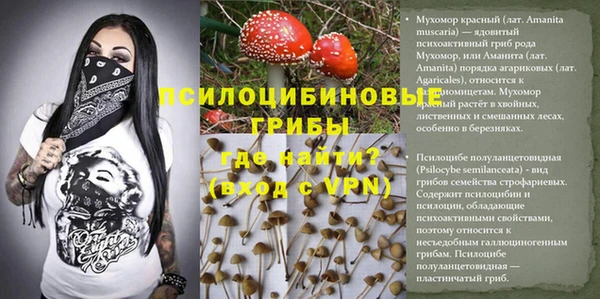 прущий лед Алзамай