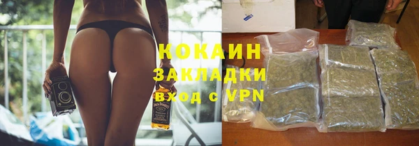 apvp Алексин