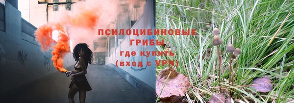 прущий лед Алзамай