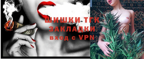 прущий лед Алзамай