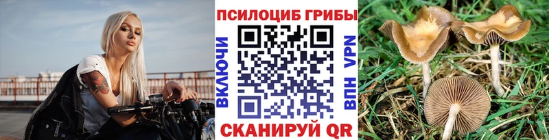 Псилоцибиновые грибы GOLDEN TEACHER  Бобров 